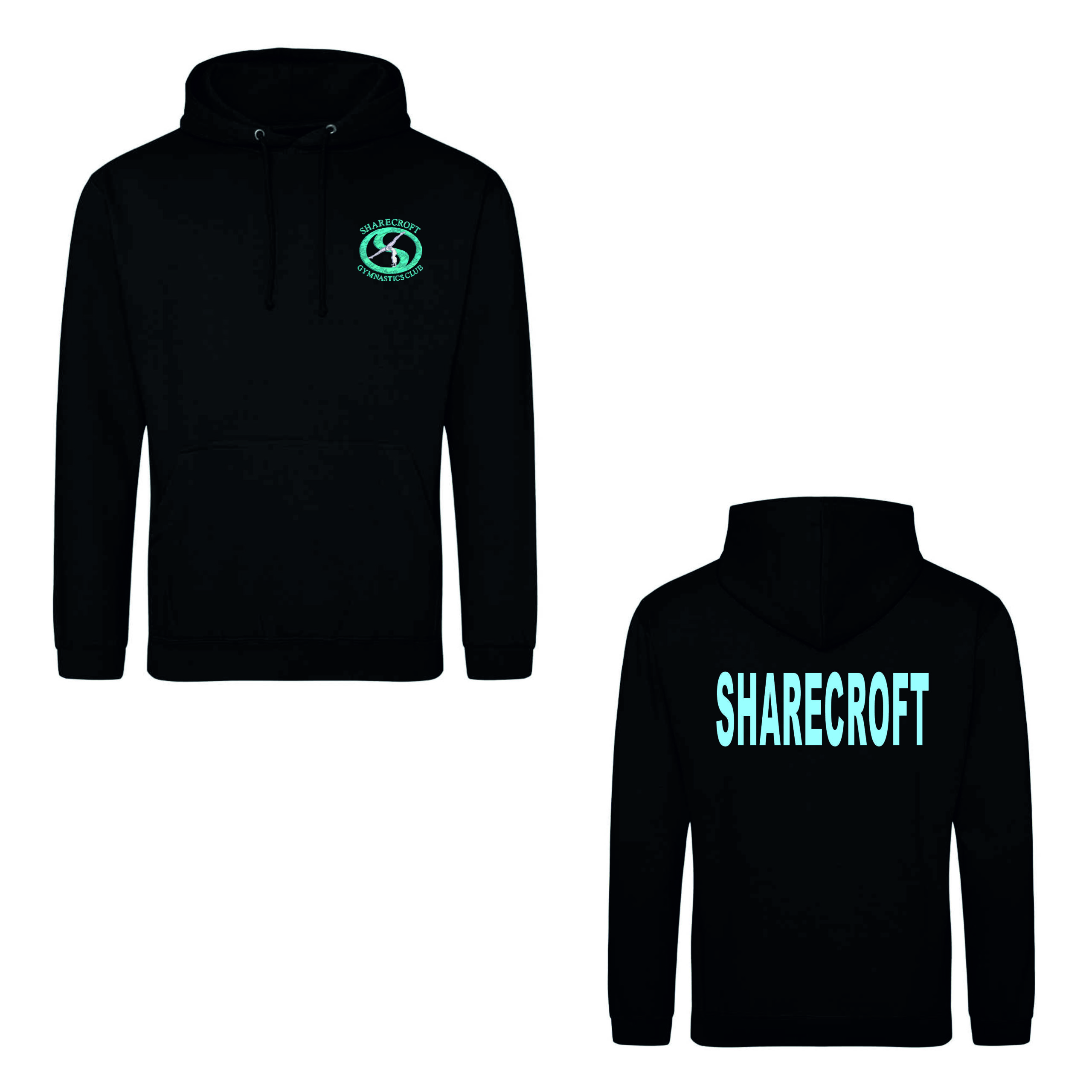 JH001 Adults Hoody